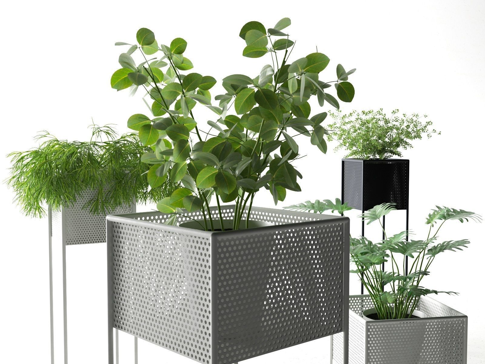 Perforated Box Planters with Plants 3D model_1