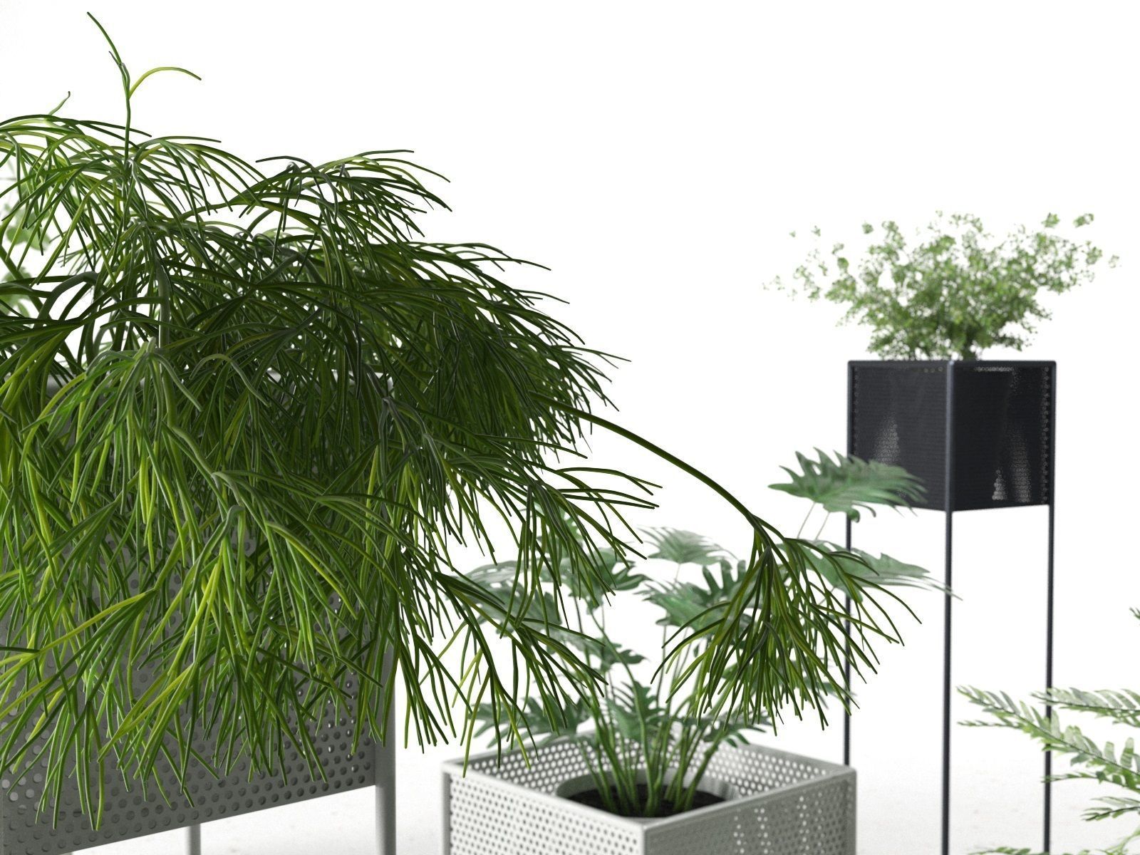 Perforated Box Planters with Plants 3D model_2