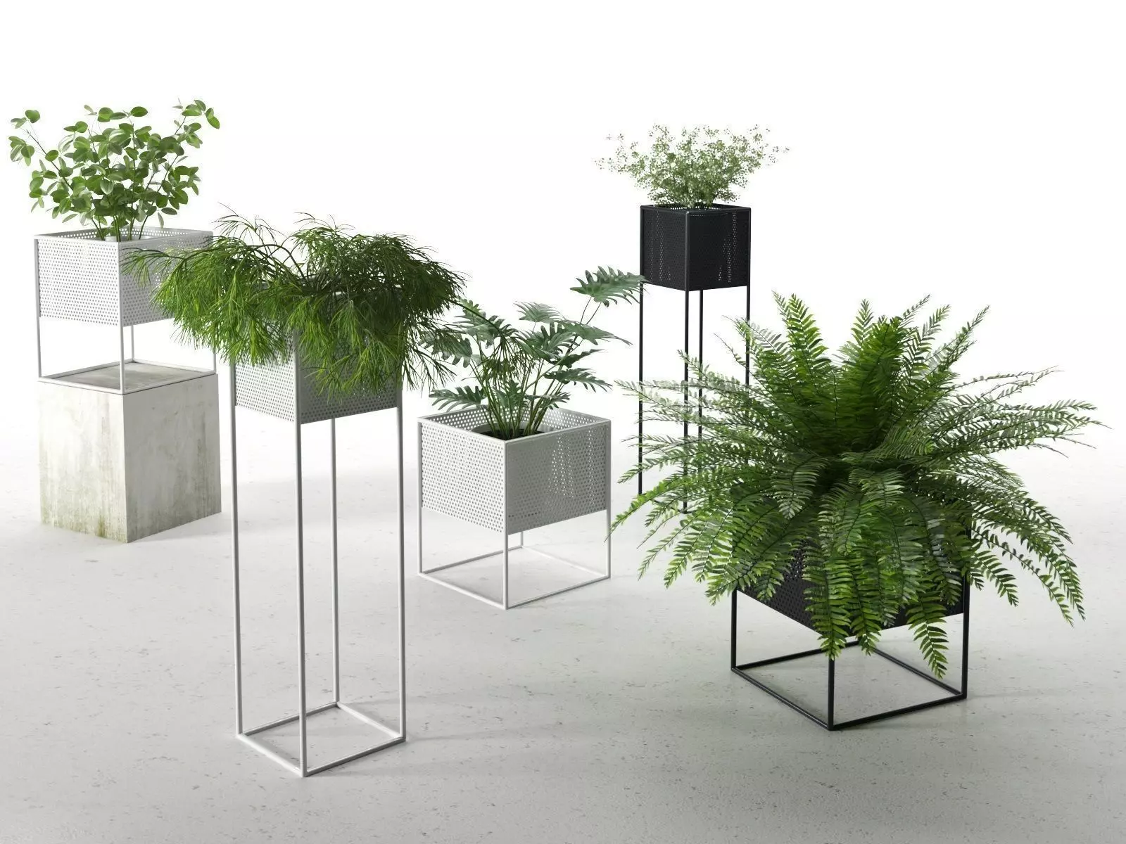 Perforated Box Planters with Plants 3D model_0
