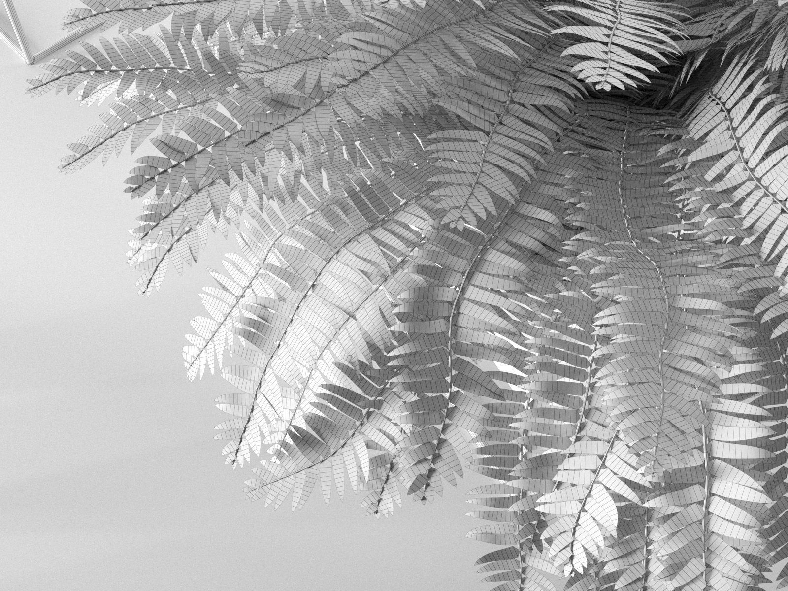 Perforated Box Planters with Plants 3D model_4