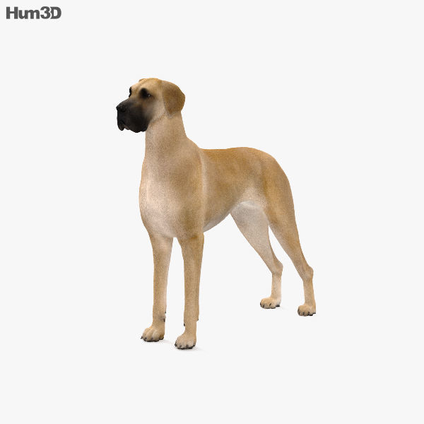 Great Dane HD
