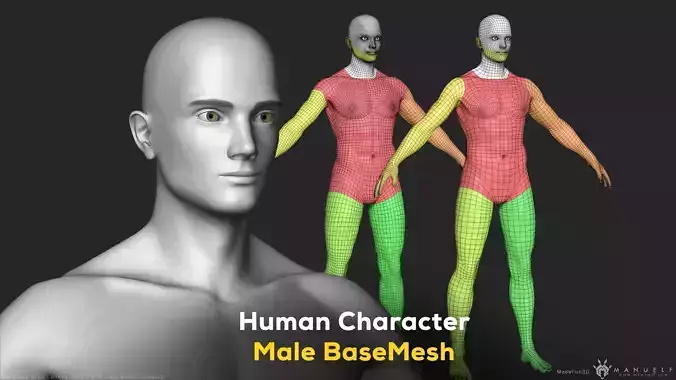 Human Character Male BaseMesh - Man Body Low-poly 3D model