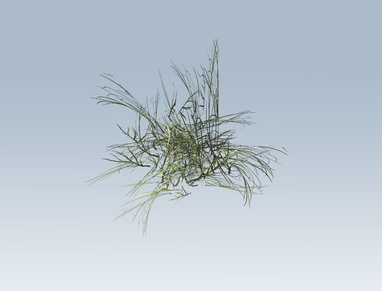 Reed grass vegetation 3D model_8