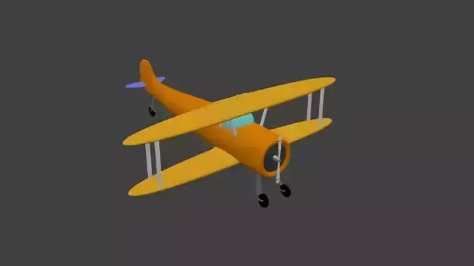  Airplane with a double wing