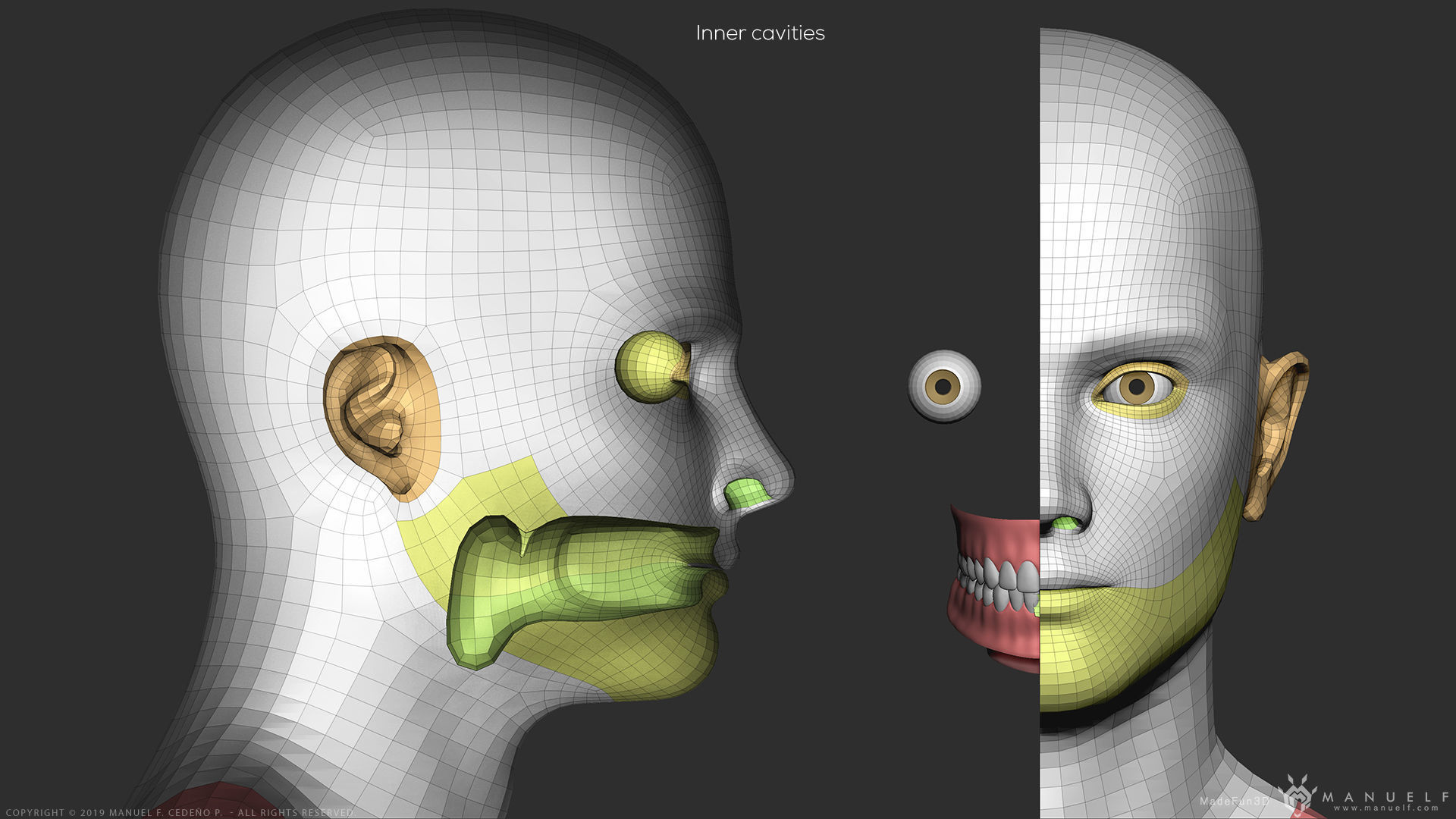 Human Character - Female and Male Basemesh Pack - Woman and Man 3D Model Collection_38