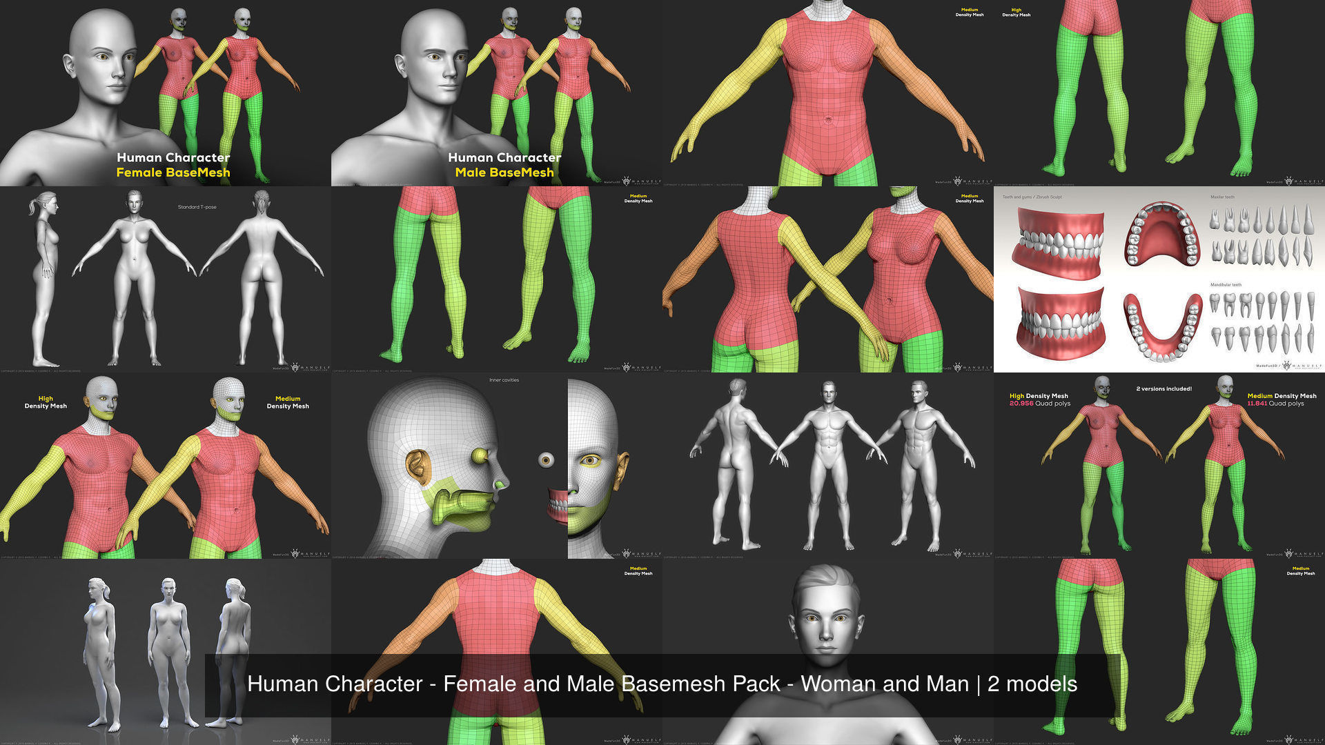 Human Character - Female and Male Basemesh Pack - Woman and Man 3D Model Collection_1