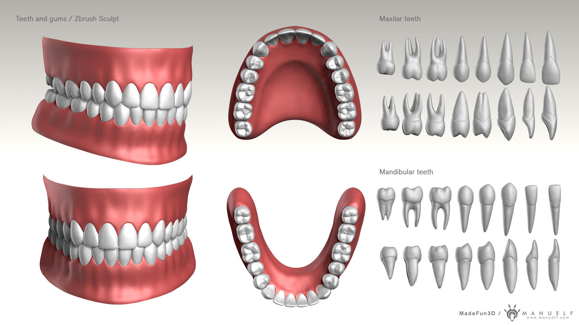 Human Character - Female and Male Basemesh Pack - Woman and Man 3D Model Collection_39