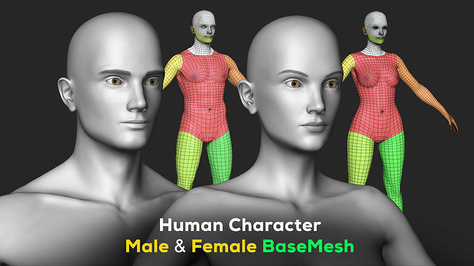 Human Character - Female and Male Basemesh Pack - Woman and Man 3D Model Collection