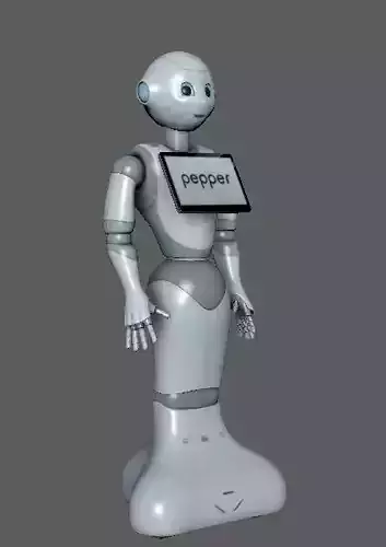 PEPPER ROBO