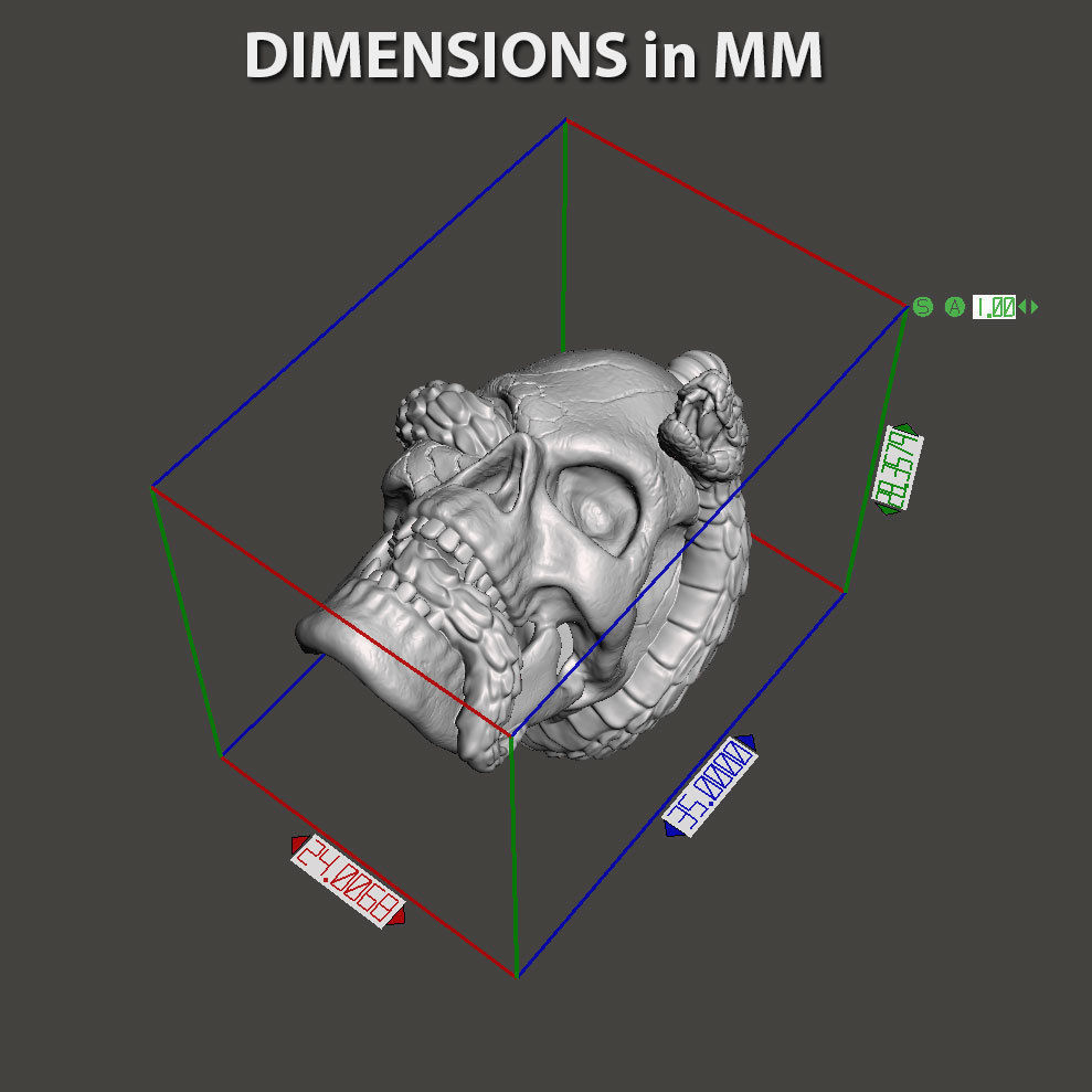 Skull pendant jewelry biker with snake vol11 3D print model_6