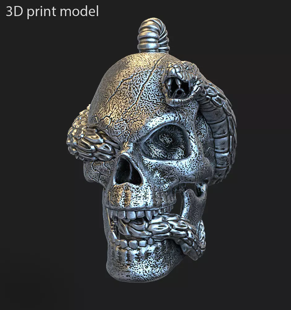 Skull pendant jewelry biker with snake vol11 3D print model_0
