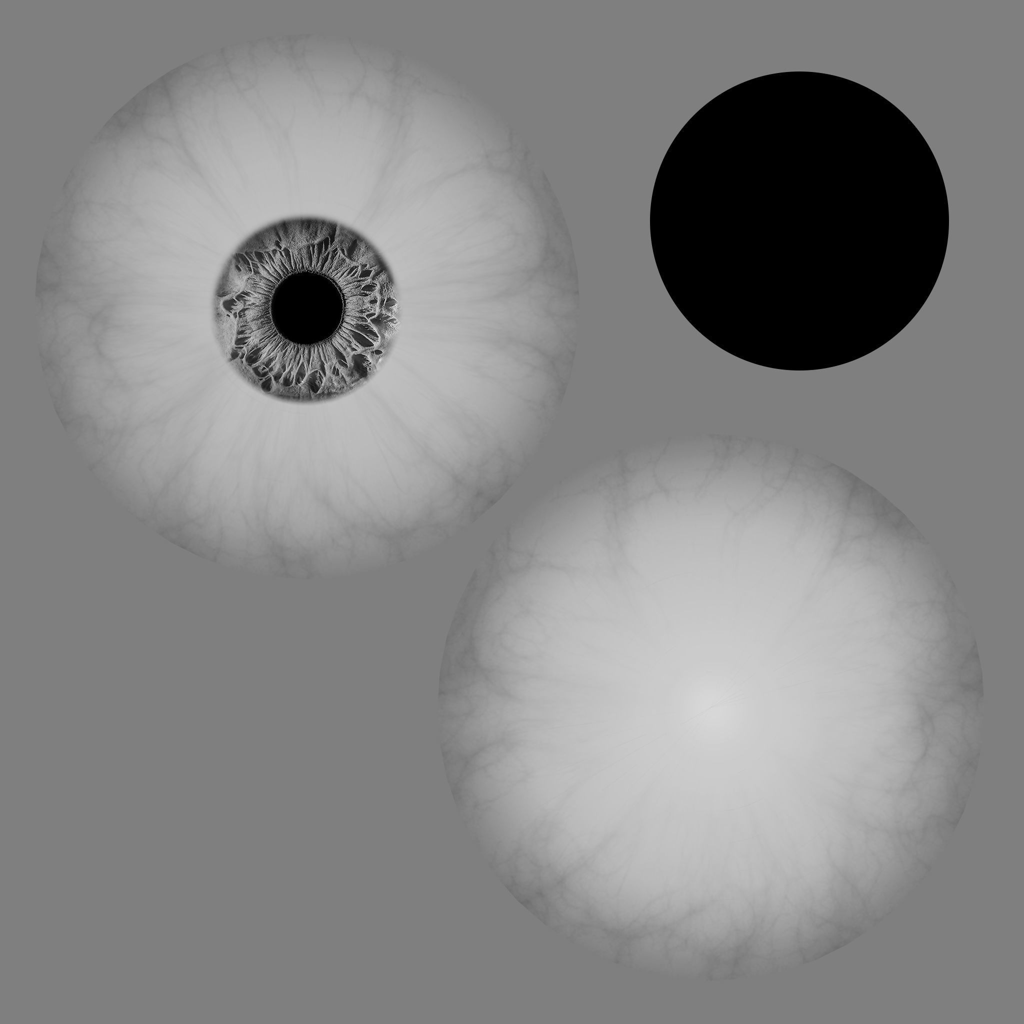 Eyeball eye 3D model_5
