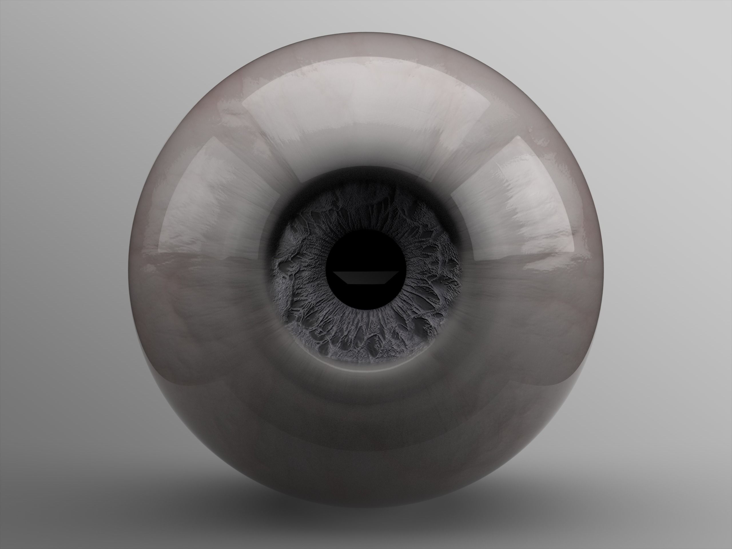 Eyeball eye 3D model_2