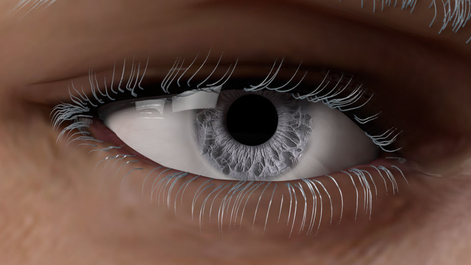 Eyeball eye 3D model_3