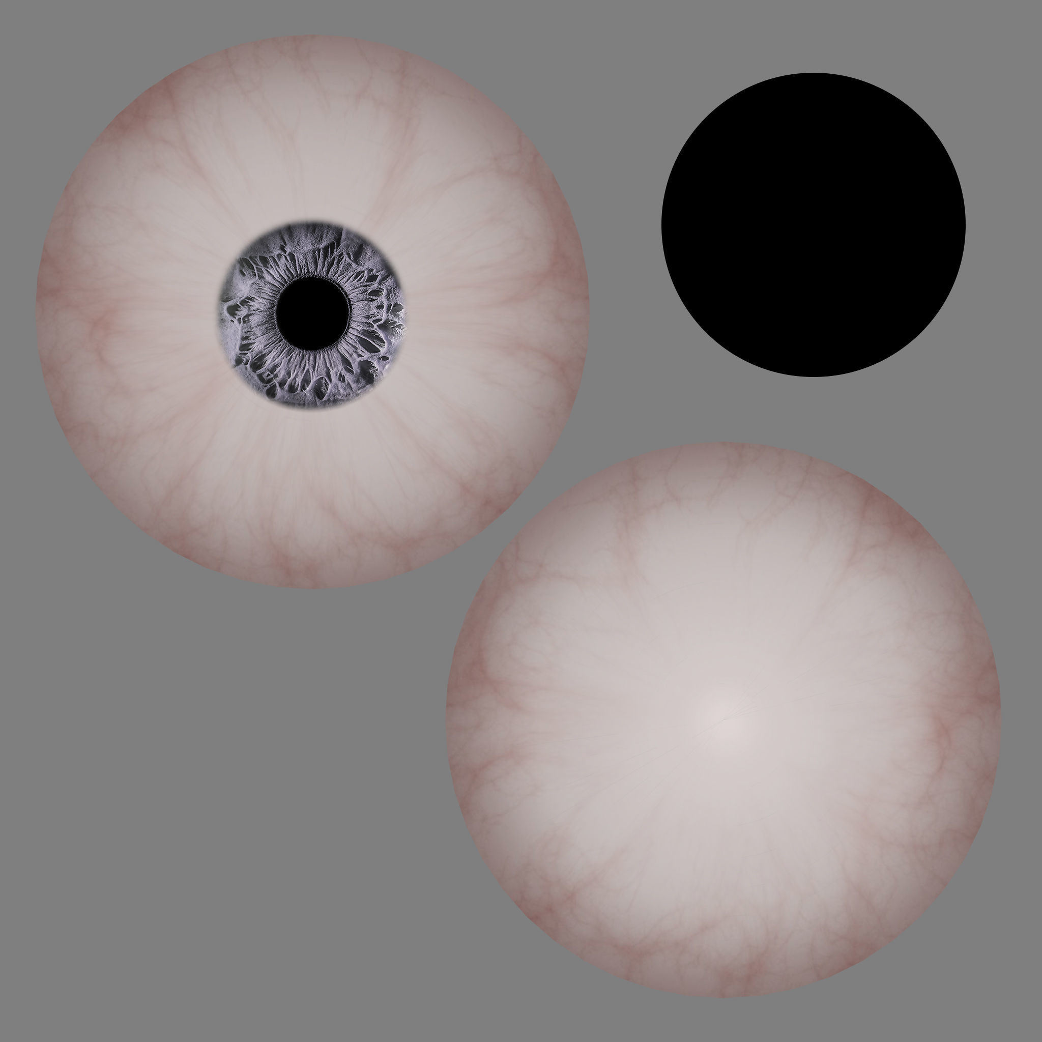 Eyeball eye 3D model_4