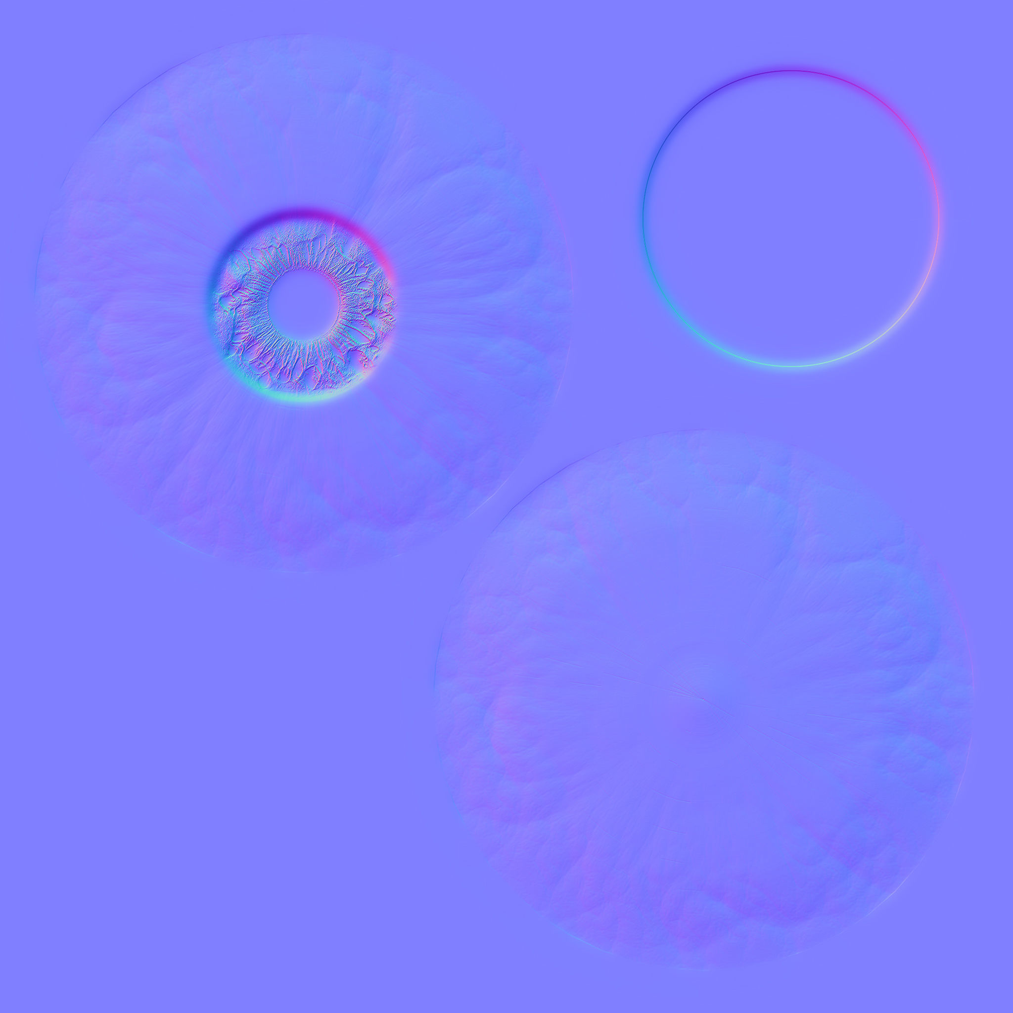 Eyeball eye 3D model_6