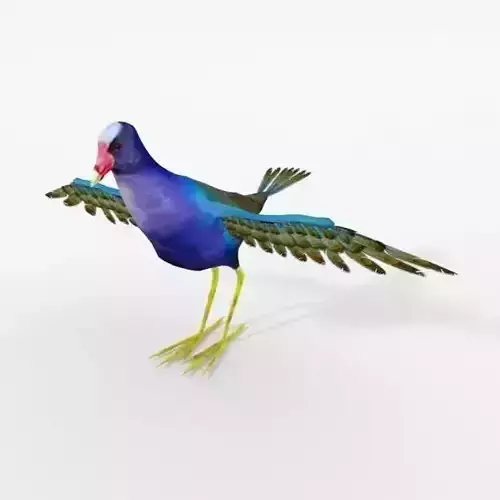 Tingua bird with wings spread Low-poly 3D model