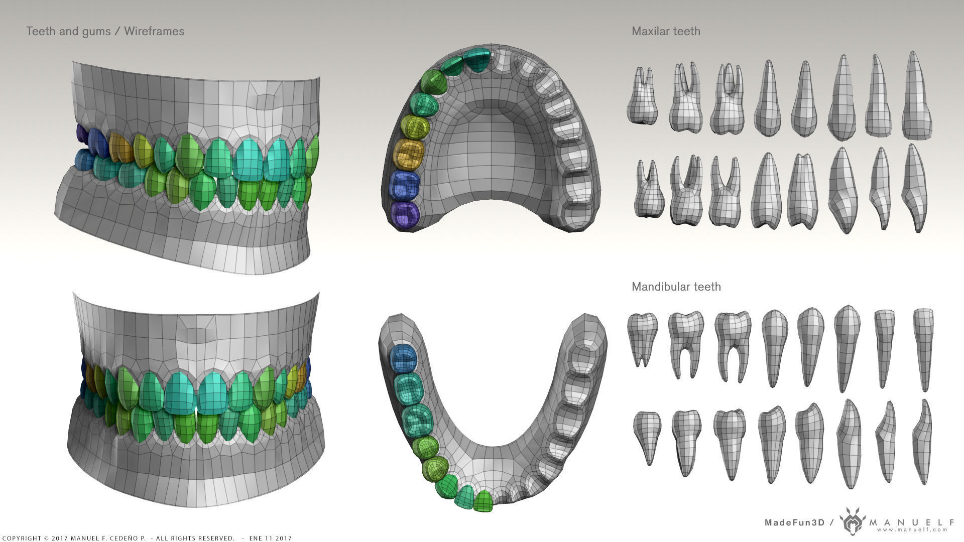 Highpoly Human Teeth set 3D model_9