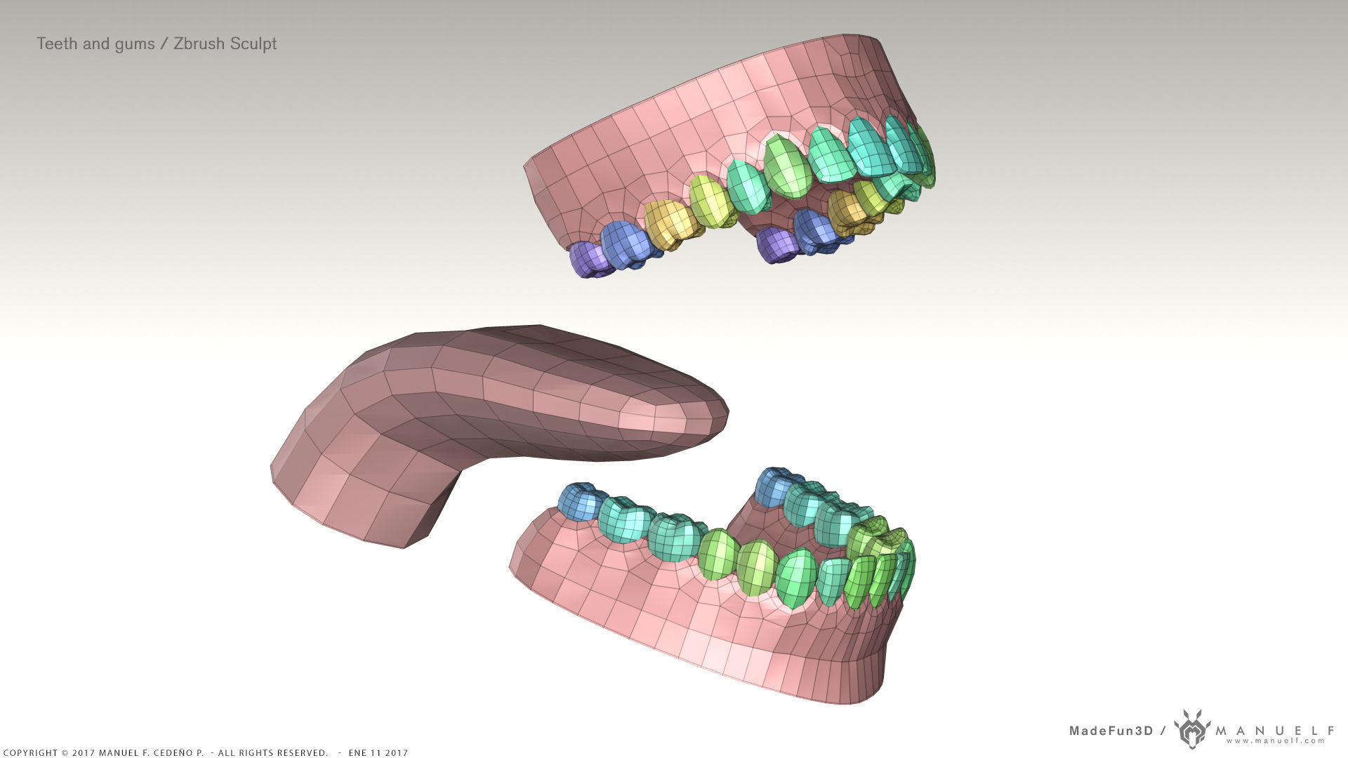 Highpoly Human Teeth set 3D model_8