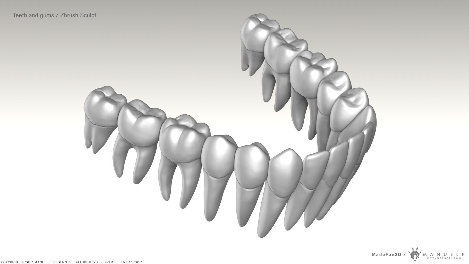 Highpoly Human Teeth set 3D model_4