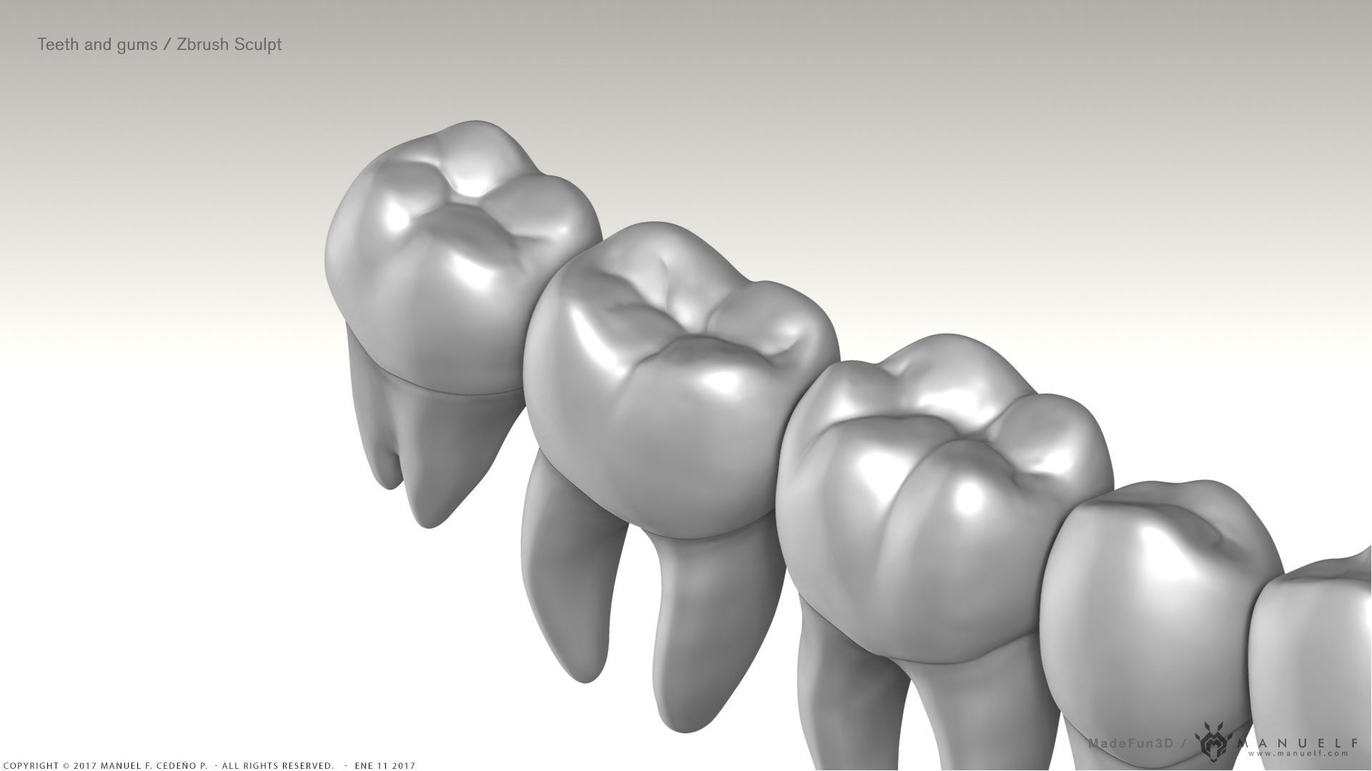 Highpoly Human Teeth set 3D model_5