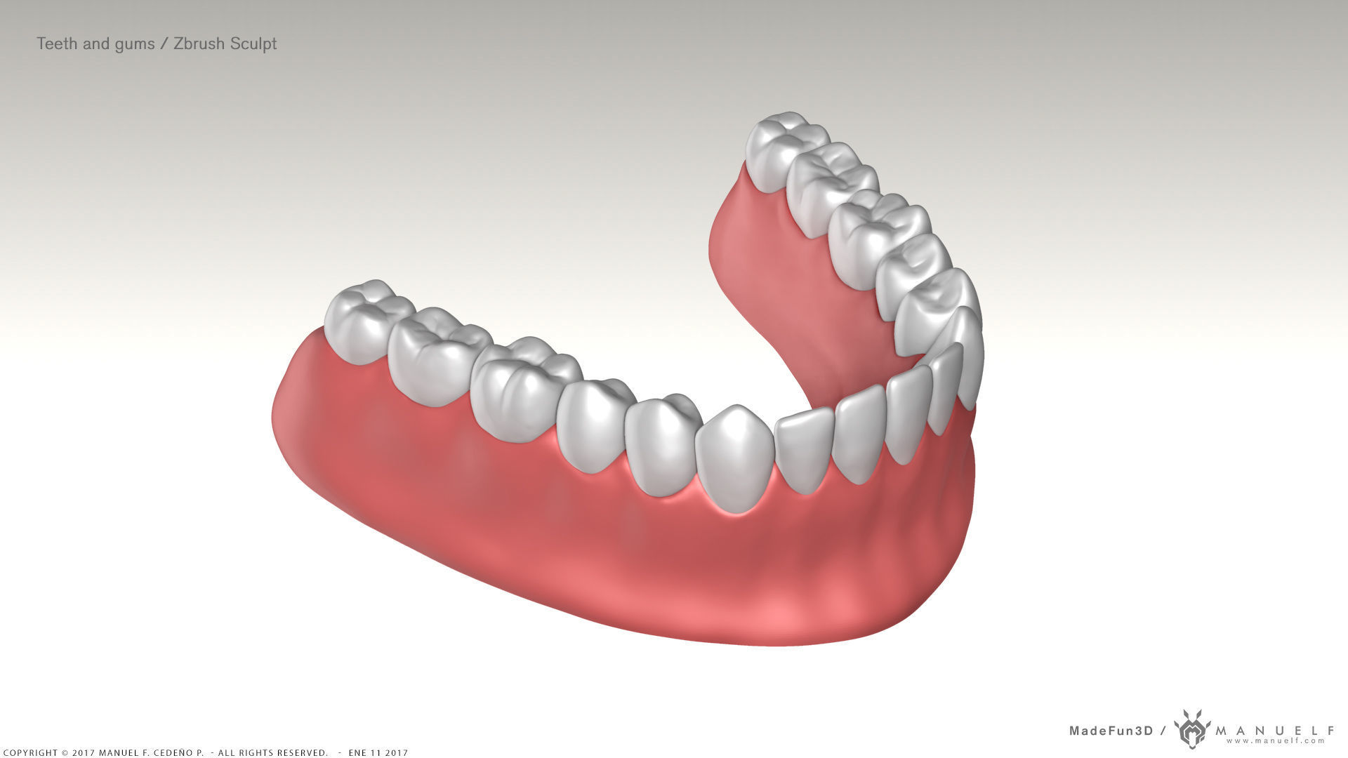 Highpoly Human Teeth set 3D model_2