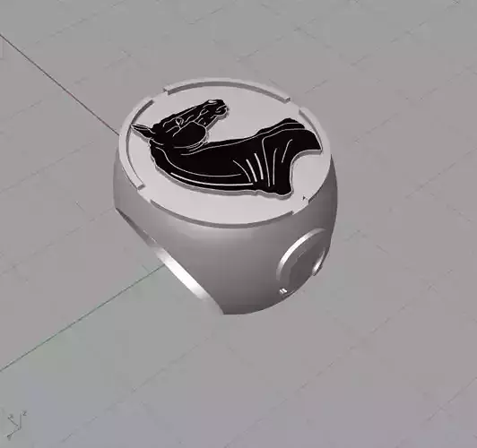 Horse Ring