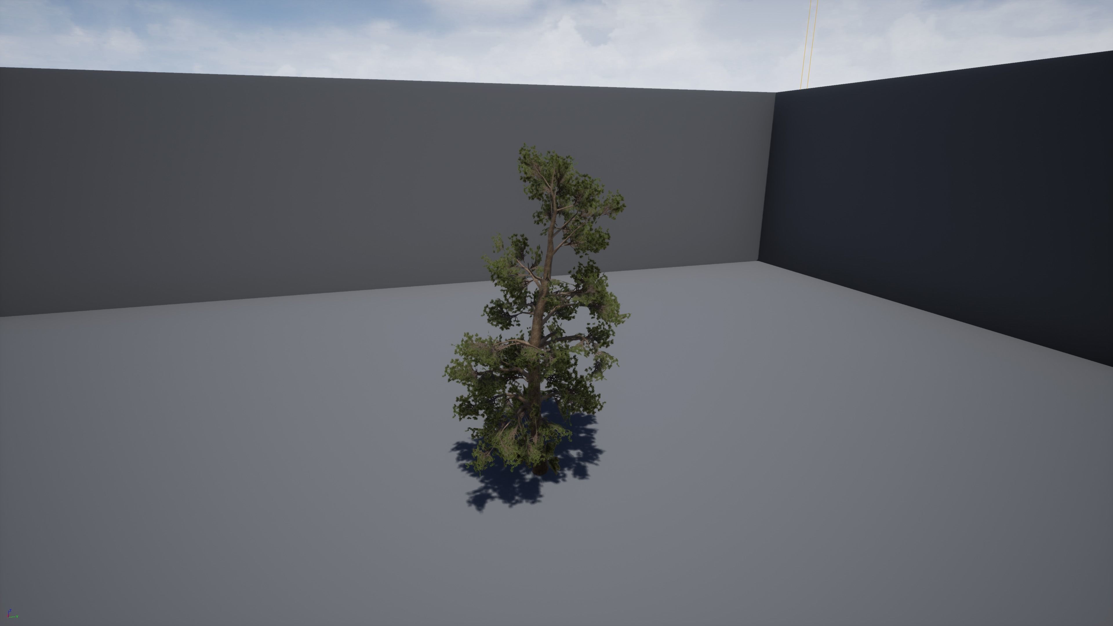 Four pine trees Low-poly 3D model_5