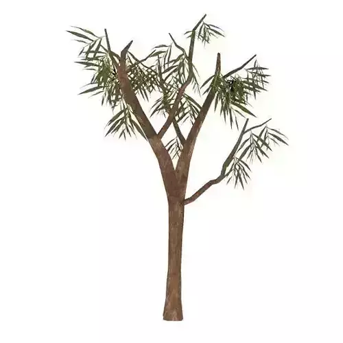 Eucalyptus001 bamboo tree Low-poly 3D model