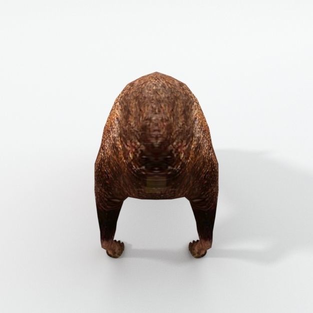 Dasyprocta punctata Low-poly 3D model_1