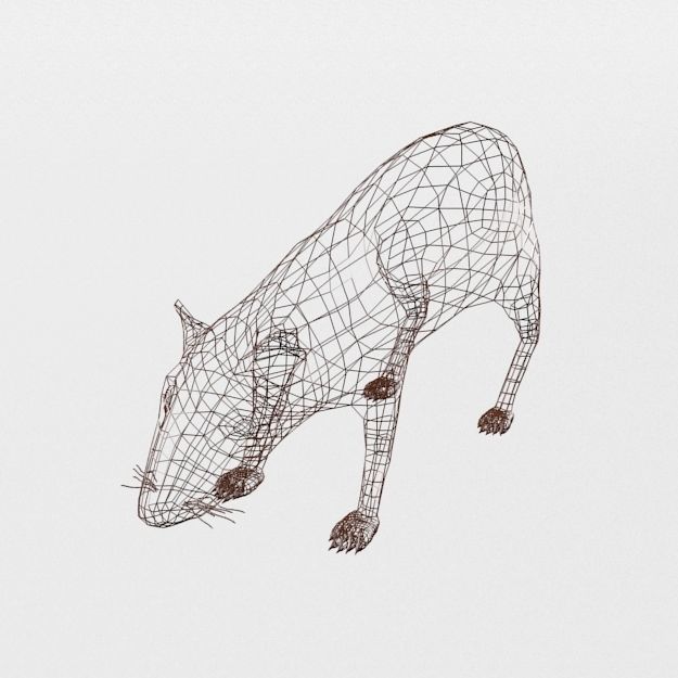 Dasyprocta punctata Low-poly 3D model_4