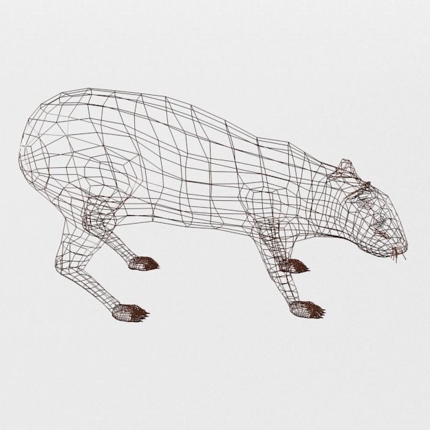 Dasyprocta punctata Low-poly 3D model_7