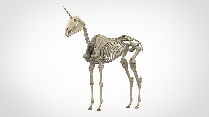 Unicorn Skeleton 3D model