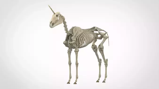 Unicorn Skeleton