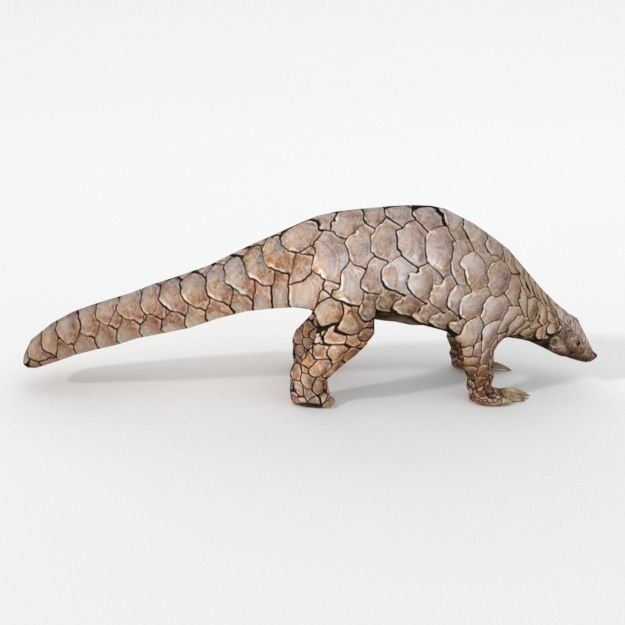 Pangolin Low-poly 3D model_3
