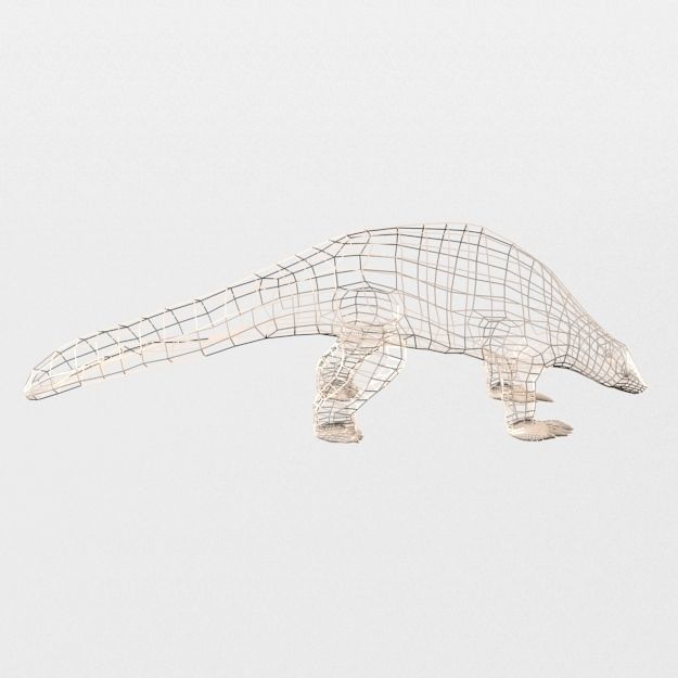 Pangolin Low-poly 3D model_7