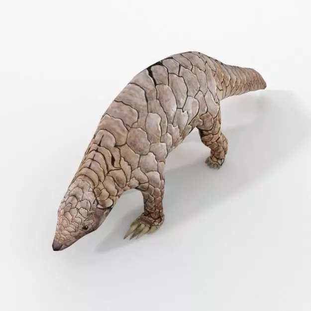 Pangolin Low-poly 3D model_0