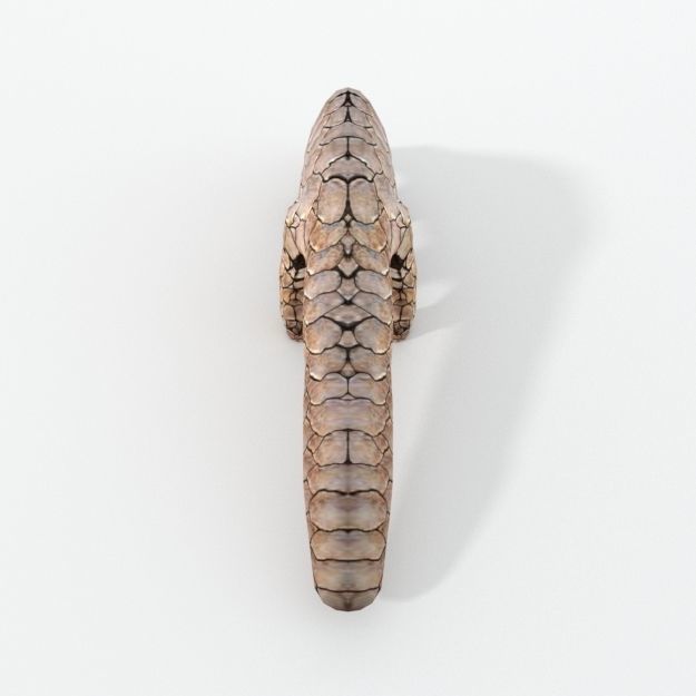 Pangolin Low-poly 3D model_1