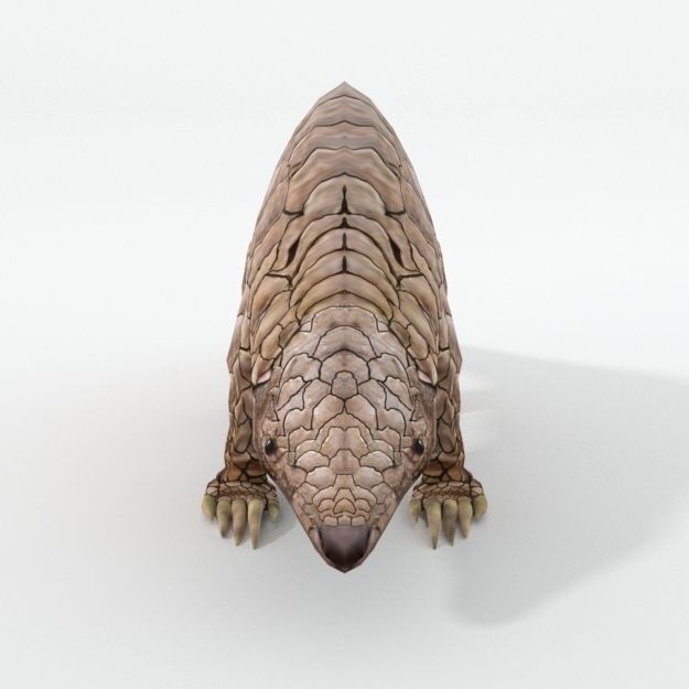 Pangolin Low-poly 3D model_2