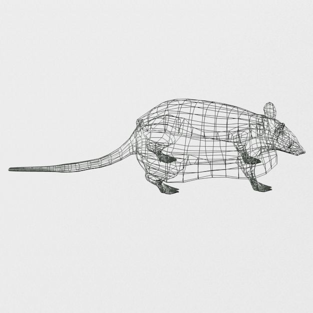 Armadillo Low-poly 3D model_7