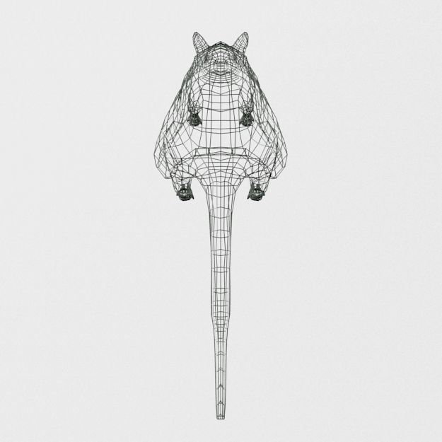 Armadillo Low-poly 3D model_5