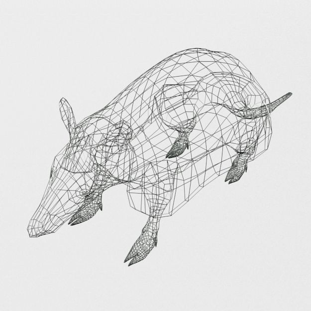 Armadillo Low-poly 3D model_4