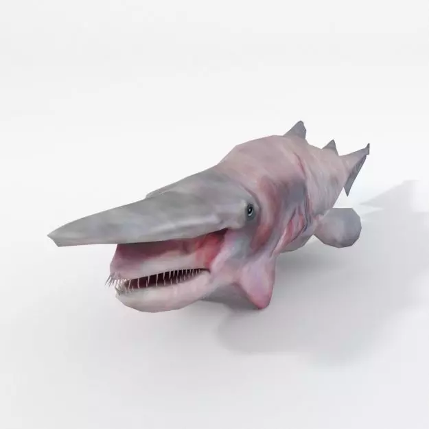 Goblin Shark Low-poly 3D model