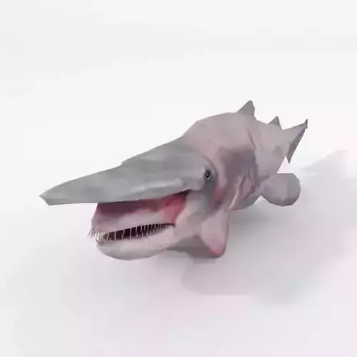 Goblin Shark