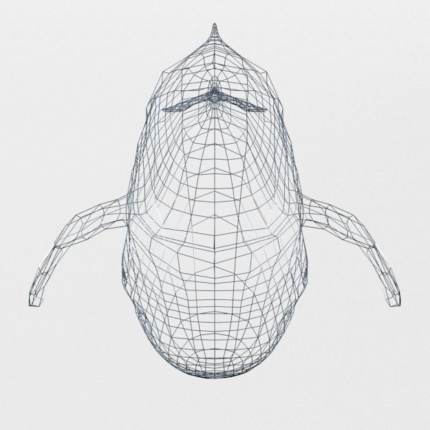 Irrawaddy Dolphin Low-poly 3D model_6