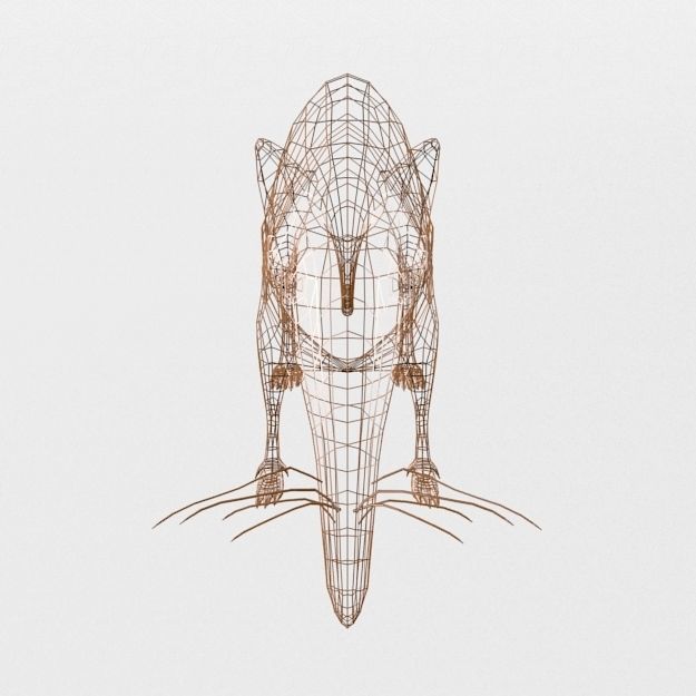 Shrew Elephant Low-poly 3D model_6