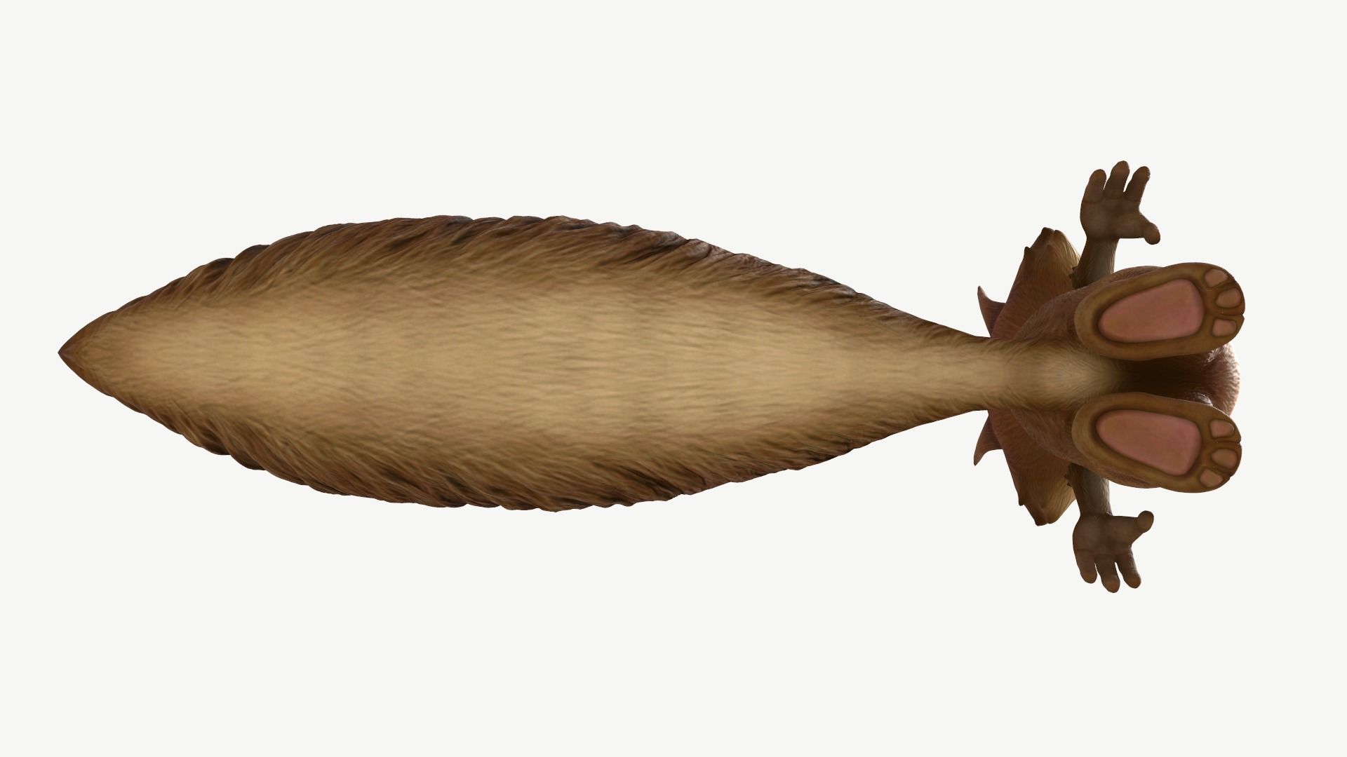 Cartoon Squirrel Low-poly 3D model_10