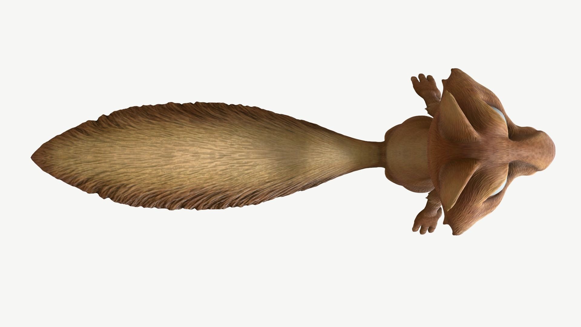 Cartoon Squirrel Low-poly 3D model_6