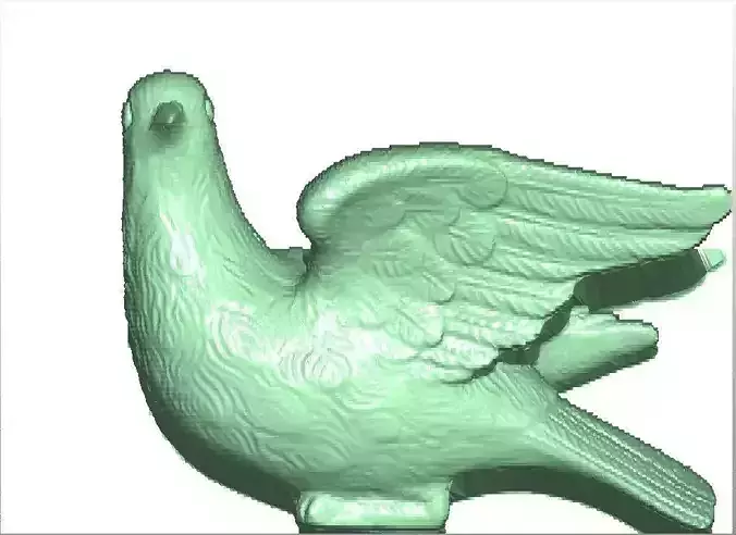 Bird 3d model dove