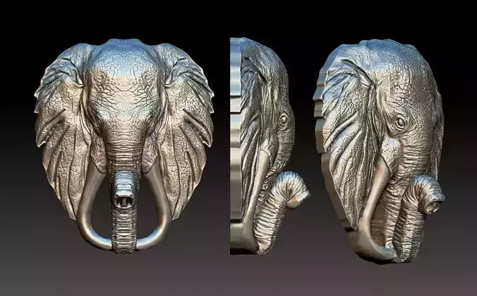 elephant